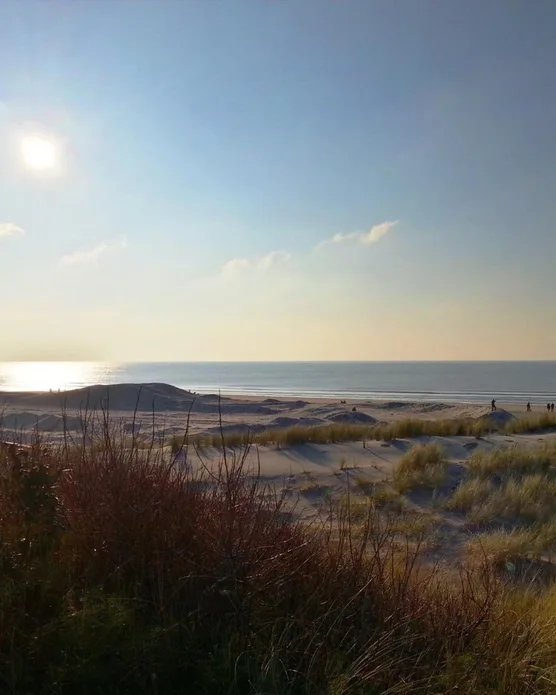 Westminster Touquet, photo 29