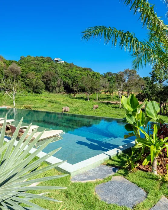 Wild Cottages Elephant Sanctuary Resort, photo 9