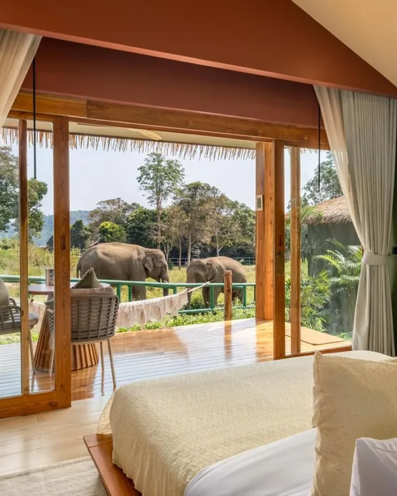 Wild Cottages Elephant Sanctuary Resort